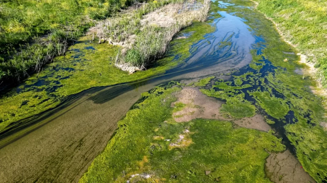 Πώς θα κάνετε αίτηση για το Thessaly Evros Pass 2024 για διακοπές σε Εβρο και Θεσσαλία