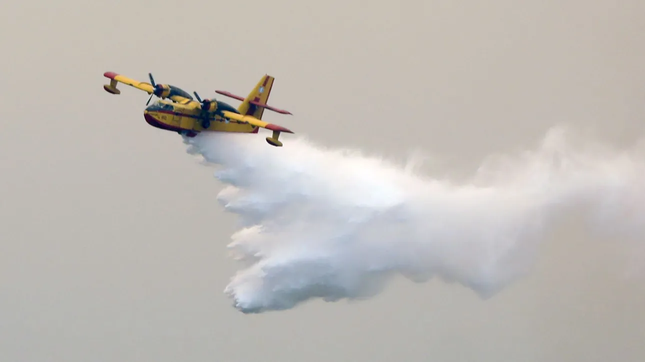 Canadair βρήκε σε πεύκο στην φωτιά στην Ναυπακτία - Βίντεο από την επικίνδυνη προσέγγιση