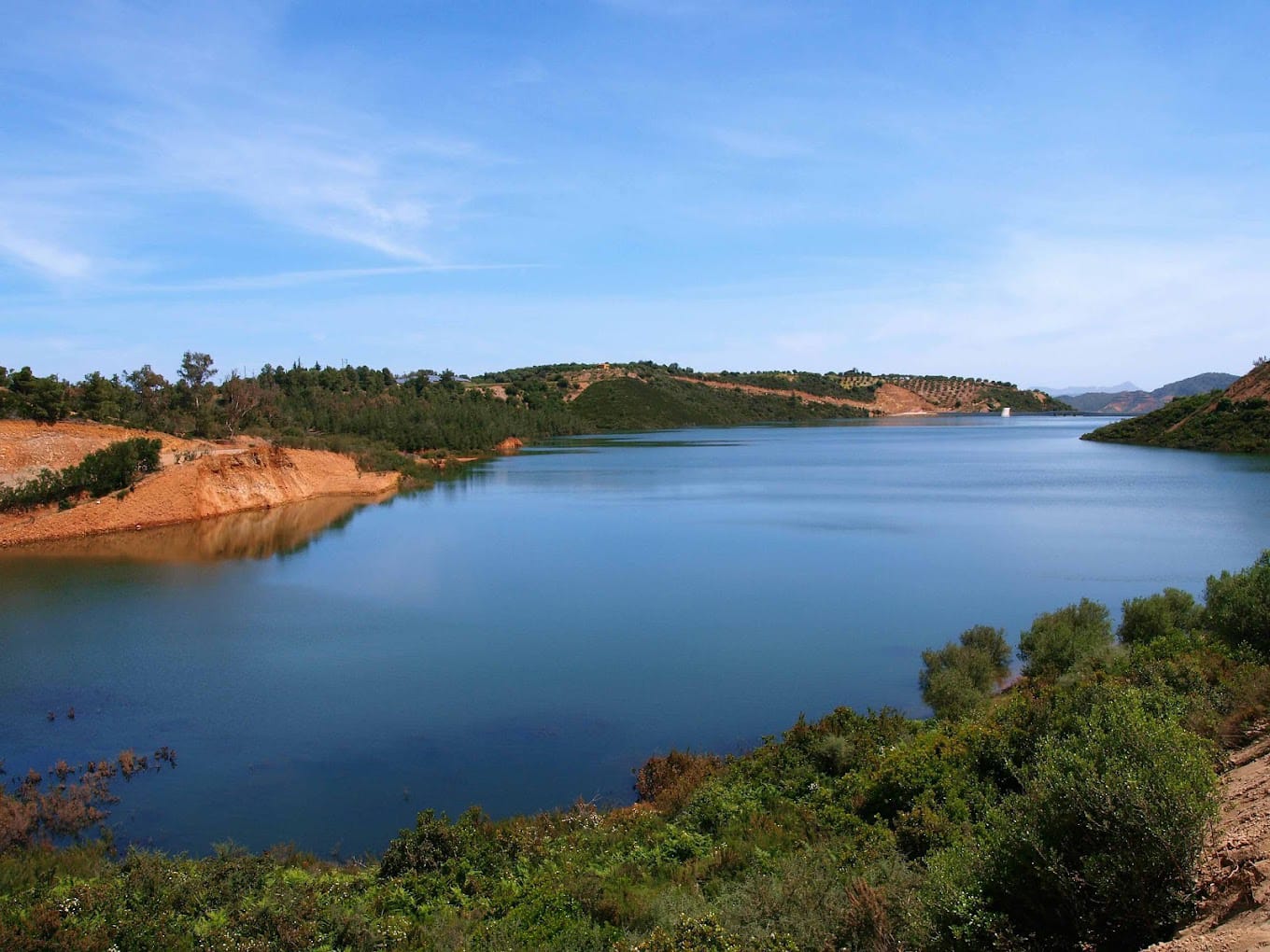 Το μήνυμα του Άρη Παπαδογιάννη για την Παγκόσμια Ημέρα Περιβάλλοντος