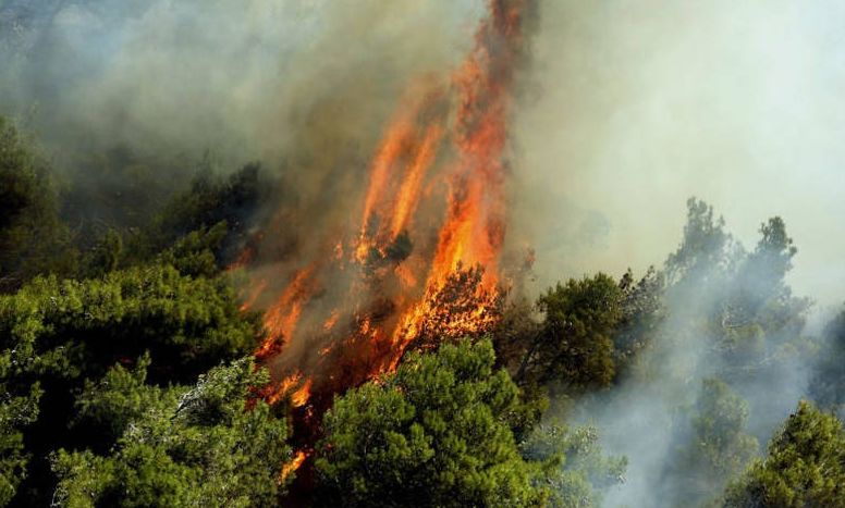 Υψηλός ο κίνδυνος πυρκαγιάς στο μεγαλύτερο μέρος χώρας αύριο Παρασκευή