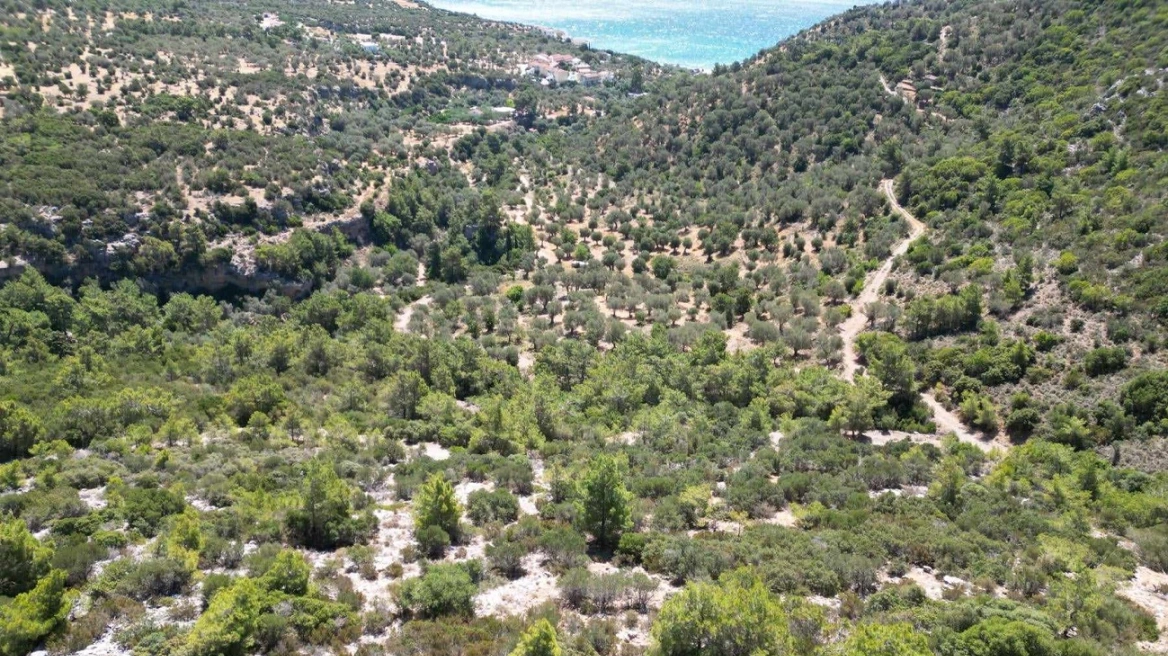 Εντοπίστηκε νεκρός ο 74χρονος που αγνοούνταν από την Κυριακή