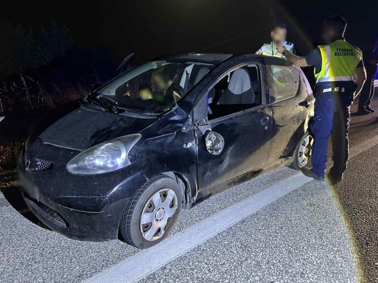 Αρκούδα συγκρούστηκε με αυτοκίνητο