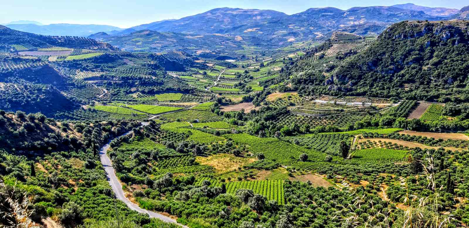 Ξεκινά την Παρασκευή το τριήμερο «Φεστιβάλ Πολιτισμού Βενεράτο 2024»