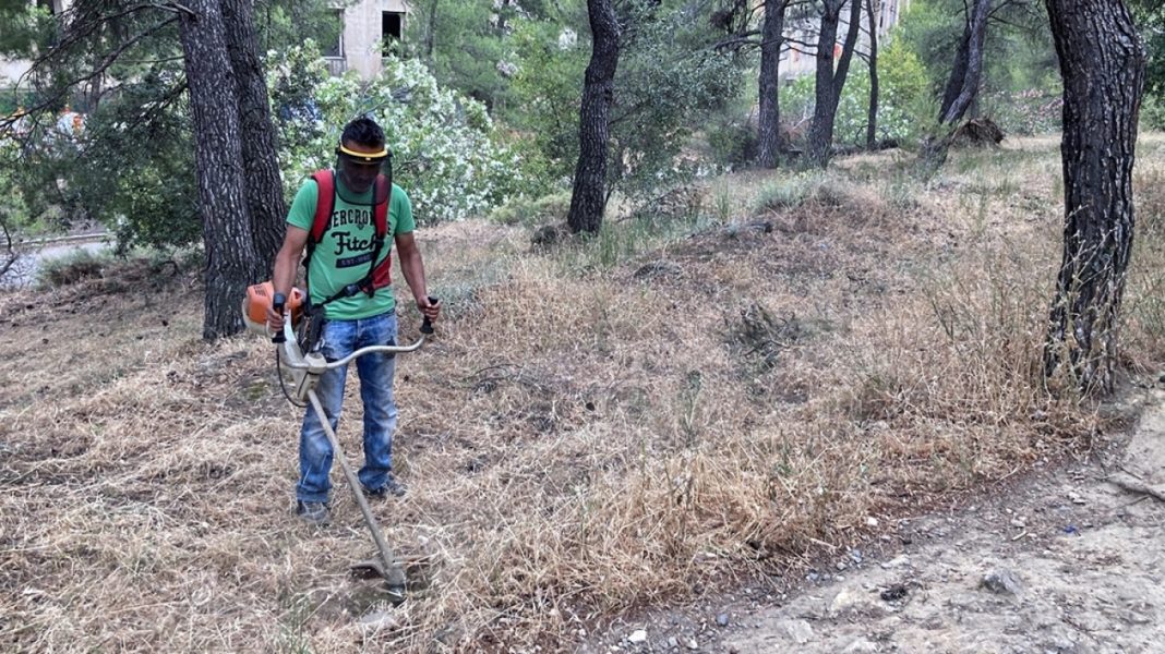 Καθαρισμός οικοπέδων: Γιατί αποφασίστηκε παράταση της προθεσμίας για τη δήλωση έως τις 15 Ιουλίου