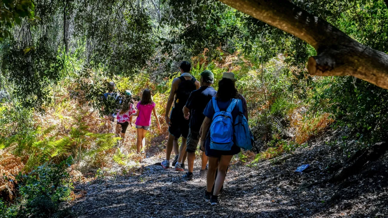 «Επιδημία» εξαφανίσεων τουριστών στην Ελλάδα – Έξι νεκροί και τρεις αγνοούμενοι σε ένα μήνα