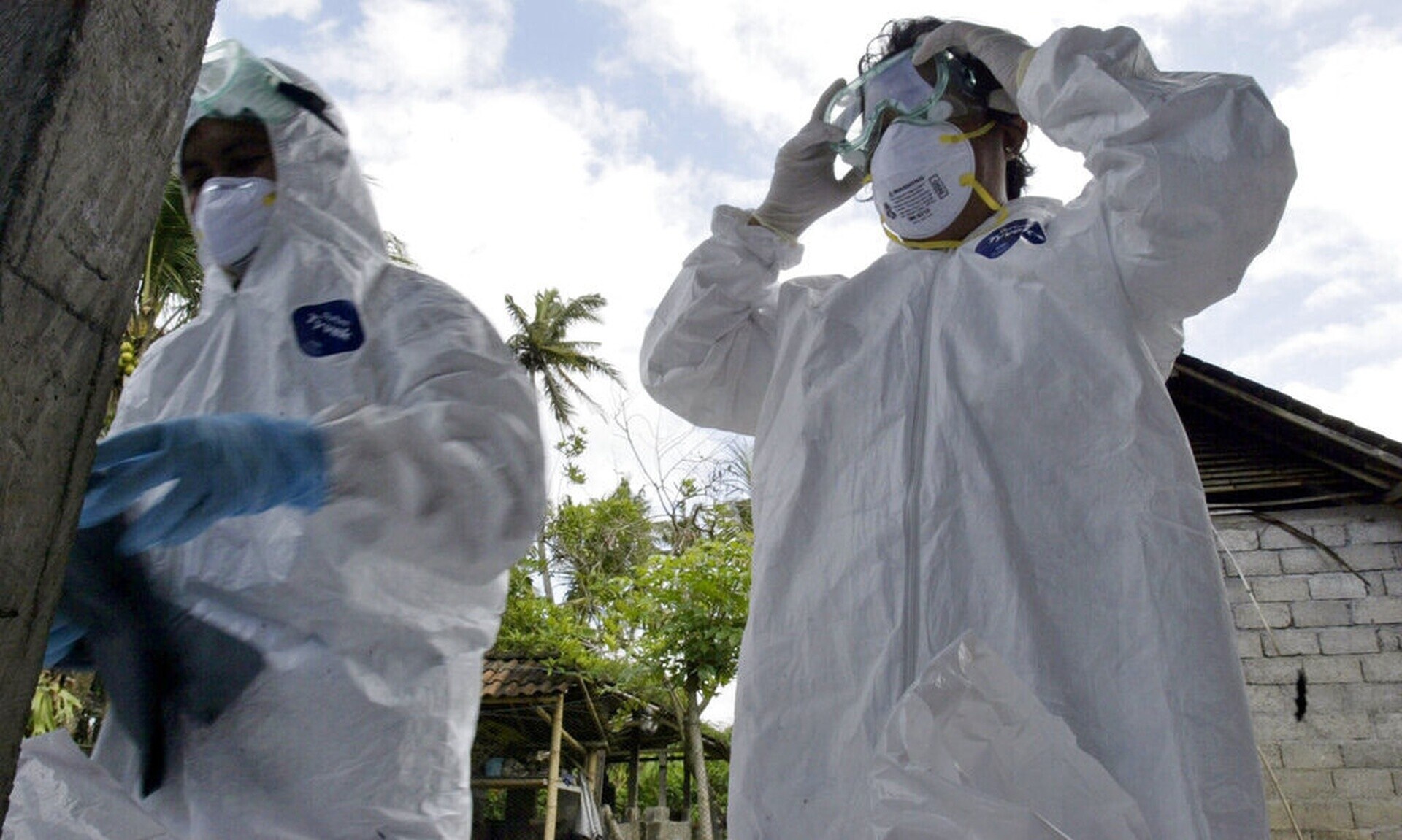 Παγκόσμιος συναγερμός: Φόβοι για πανδημία από κολοβακτηρίδιο - Μεταδίδεται από τα τρόφιμα