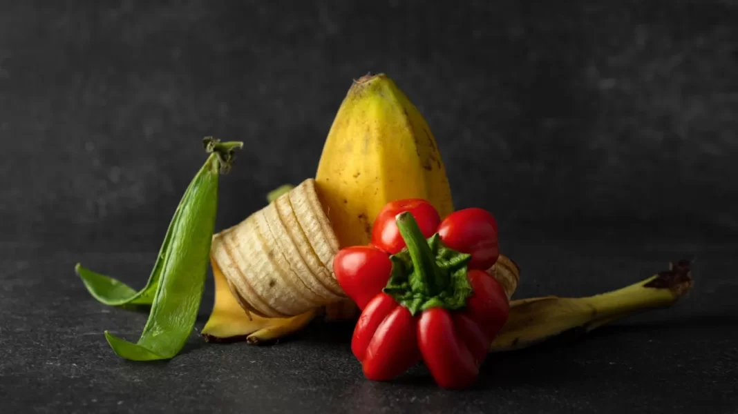 Κομποστοποίηση: Όταν τα οργανικά απόβλητα επιστρέφουν στη φύση - Τι υλικά ρίχνουμε στους καφέ κάδους