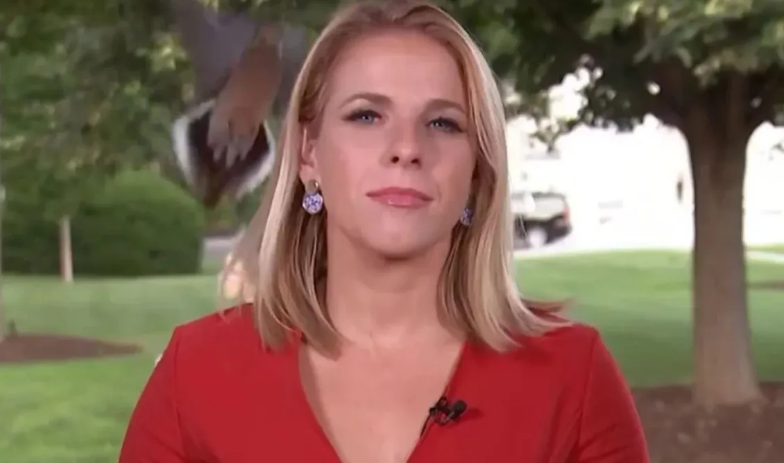 Viral έγινε δημοσιογράφος όταν ένα πουλί προσγειώθηκε στο κεφάλι της λίγο πριν βγει live - Η αντίδρασή της σε βίντεο