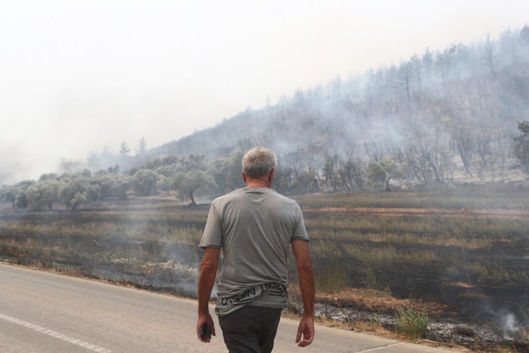 Thessaly Evros Pass: Πρόγραμμα στήριξης 4.45 εκατ. ευρώ των περιοχών της Θεσσαλίας και του Έβρου