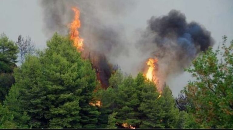 Β. Κικίλιας: Μέχρι το Σαββατοκύριακο ο χάρτης επικινδυνότητας πυρκαγιών θα είναι ένα βήμα πριν από τον κόκκινο συναγερμό