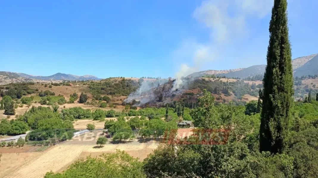 Φωτιά τώρα σε αγροτοδασική έκταση στο Δροσάτο Καλαβρύτων – Σηκώθηκαν και εναέρια μέσα