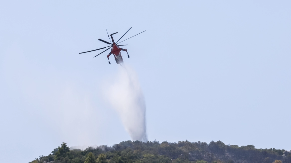 Φωτιά σε δασική έκταση στην περιοχή Κοκκινάδες Αργολίδας
