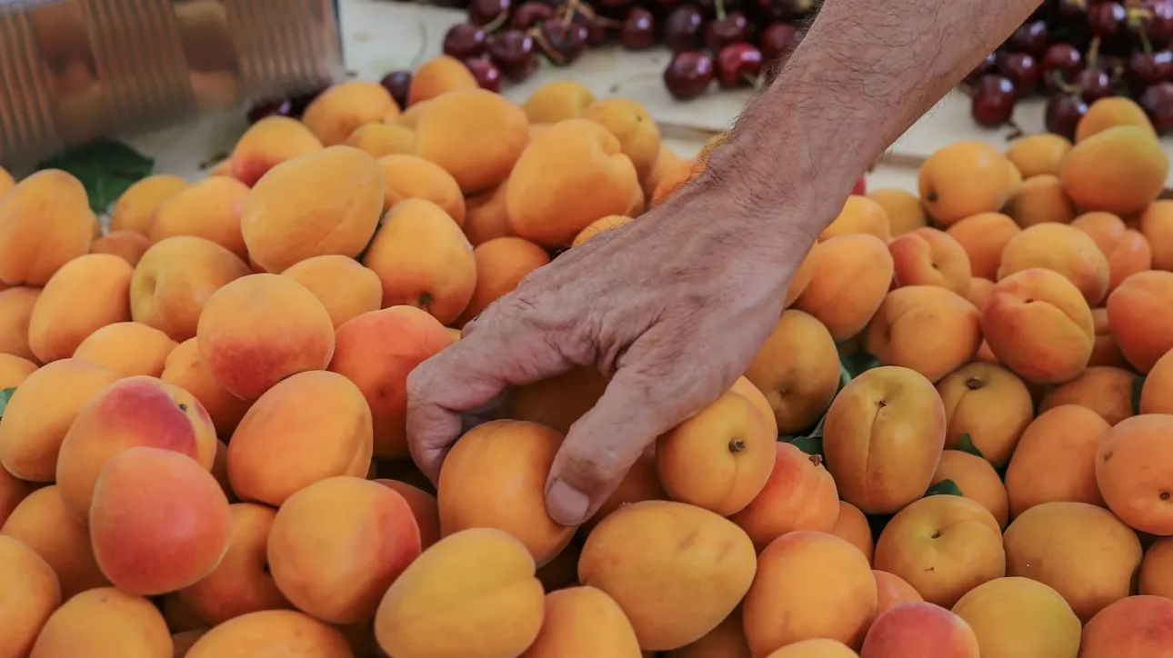 Ετήσια αύξηση 15% στι εισαγωγές φρούτων το 2023 στην Κίνα