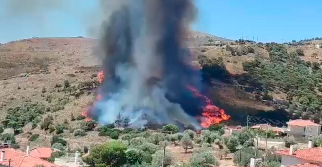 Νέα φωτιά κοντά σε οικισμό στην Κερατέα