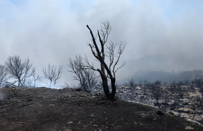 Χωρίς ενεργό μέτωπο οι πυρκαγιές σε Κερατέα και Ροδόπη - Υψηλός ο κίνδυνος φωτιάς σήμερα σε Αττική και Εύβοια