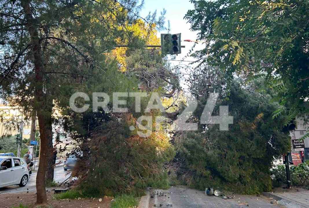 Ηράκλειο: Συναγερμός στην Πυροσβεστική – Πεύκο έπεσε στη μέση του δρόμου (εικόνες)