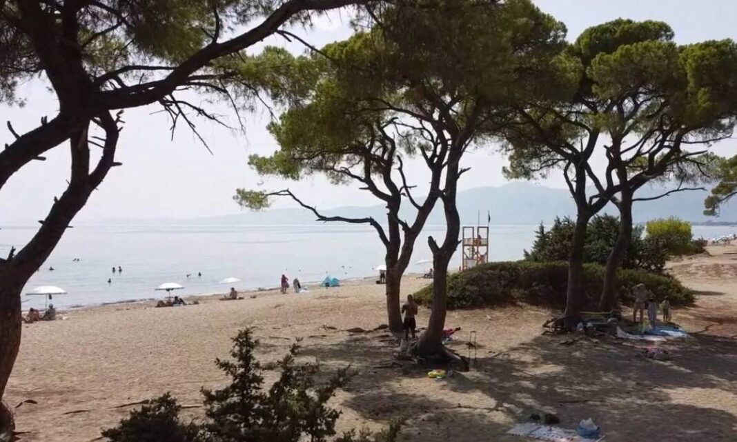 Θρίλερ στον Σχινιά: Δεν έχει ταυτοποιηθεί ακόμα η σορός του άνδρα - Τα σημάδια στο σώμα του