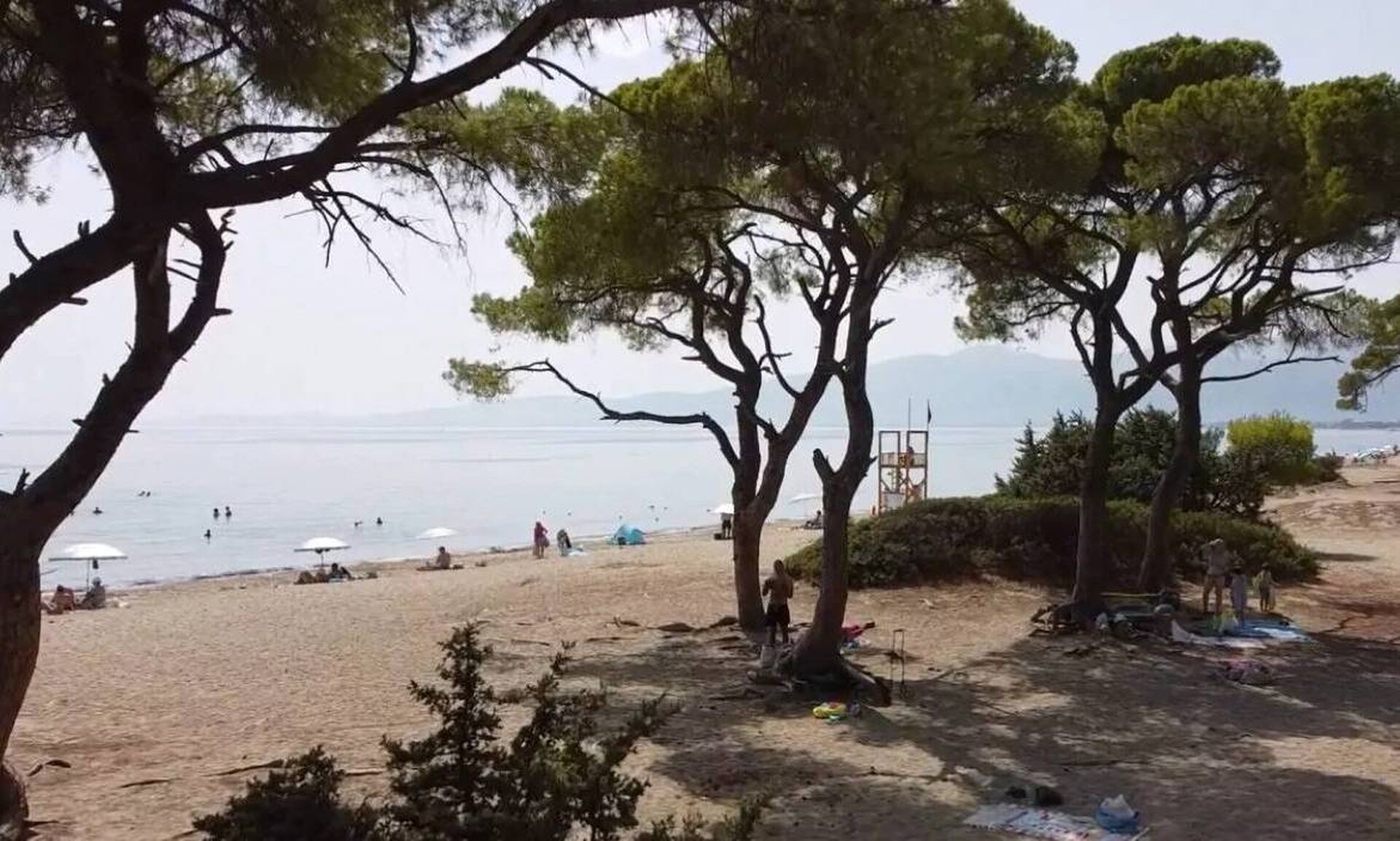 Θρίλερ στον Σχινιά: Δεν έχει ταυτοποιηθεί ακόμα η σορός του άνδρα - Τα σημάδια στο σώμα του