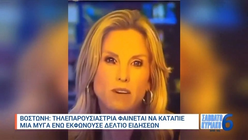 Παρουσιάστρια κατάπιε μύγα την ώρα που έλεγε τις ειδήσεις