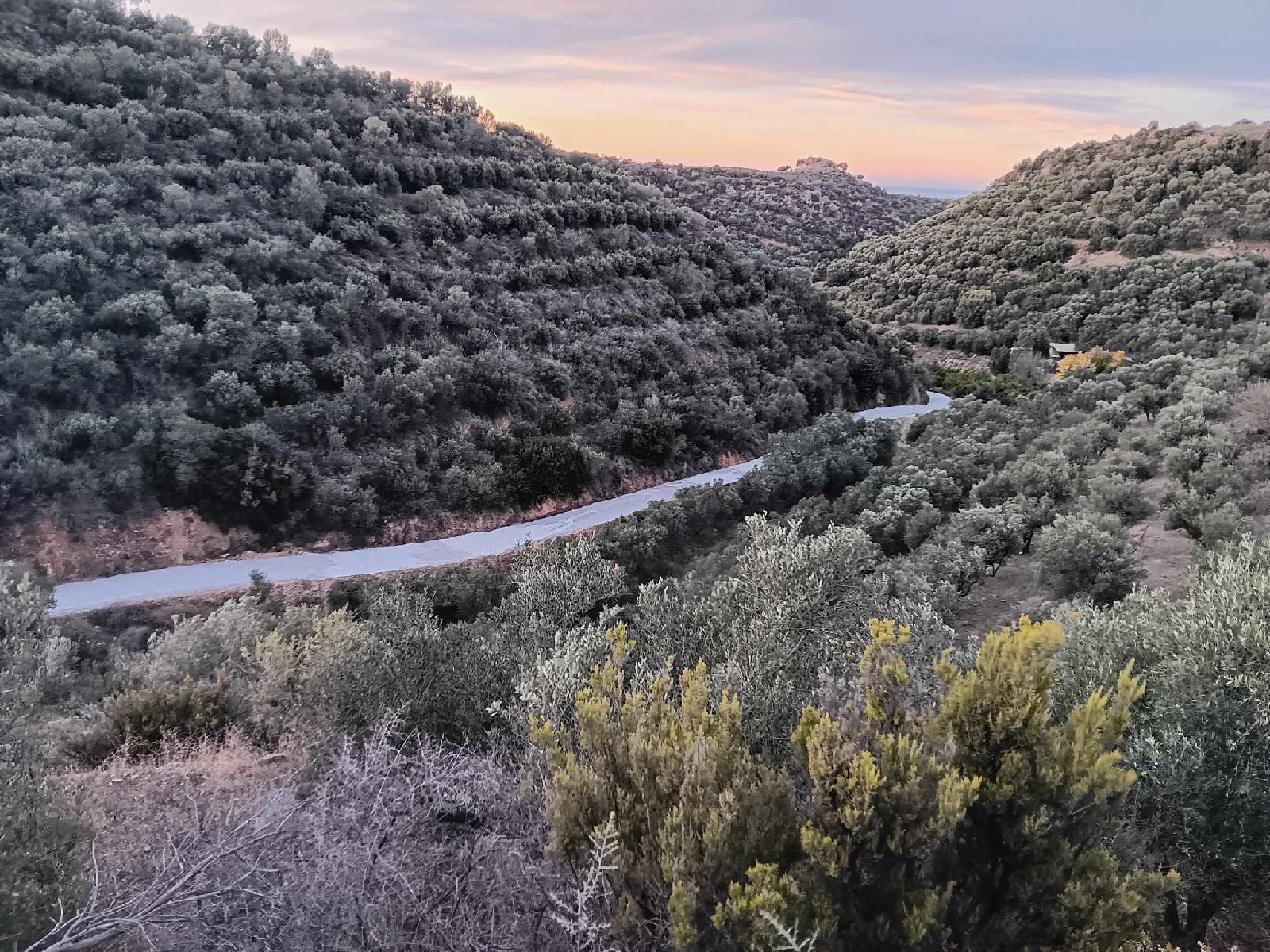 Περισσότερα από 1.800.000 ευρώ για τσιμεντοστρώσεις σε περιαστικές περιοχές του Δήμου Χανίων – Σε εξέλιξη οι εργασίες