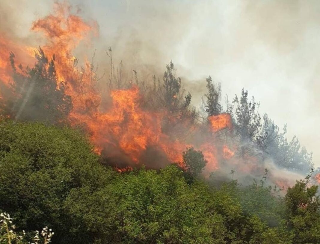 Μεγάλη φωτιά στη Βόλβη, στη Θεσσαλονίκη - Ήχησε 112 για τους κατοίκους της Λίμνης