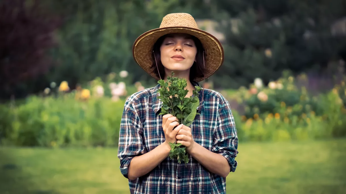 Άνοια: Το δροσιστικό άρωμα που προστατεύει τη μνήμη – Από ποιο γνωστό φυτό προέρχεται