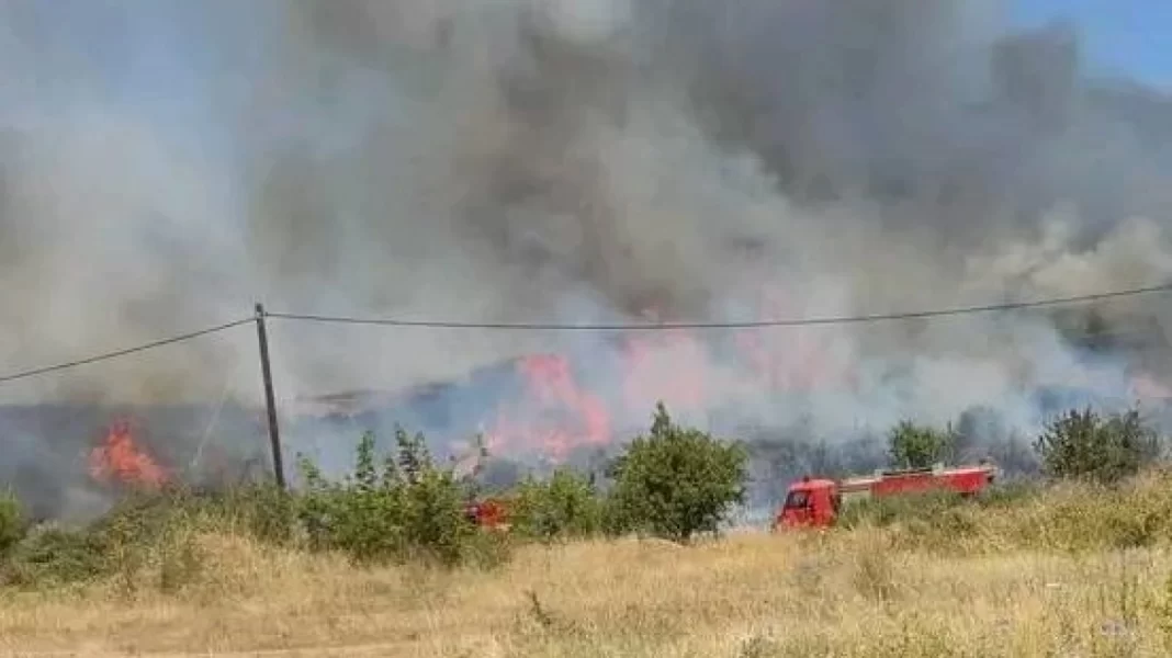 Φωτιά στην Ξυλαγανή Ροδόπης: Οριοθετήθηκε το μέτωπο