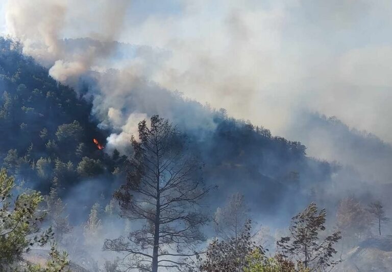 Χωρίς ενεργά μέτωπα πλέον η μεγάλη πυρκαγιά στην Κύπρο