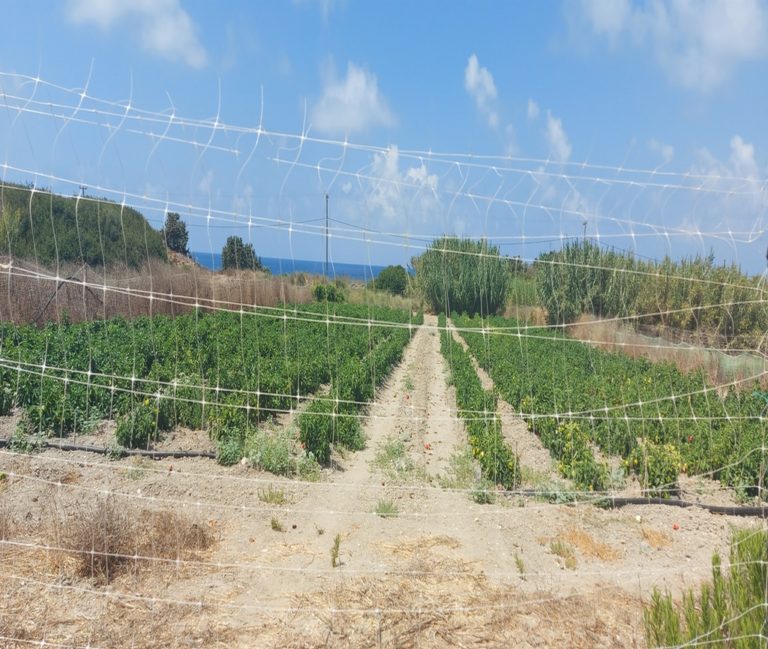 Απομάκρυνση περιφράξεων στο δημοτικό οδικό δίκτυο Κισσάμου
