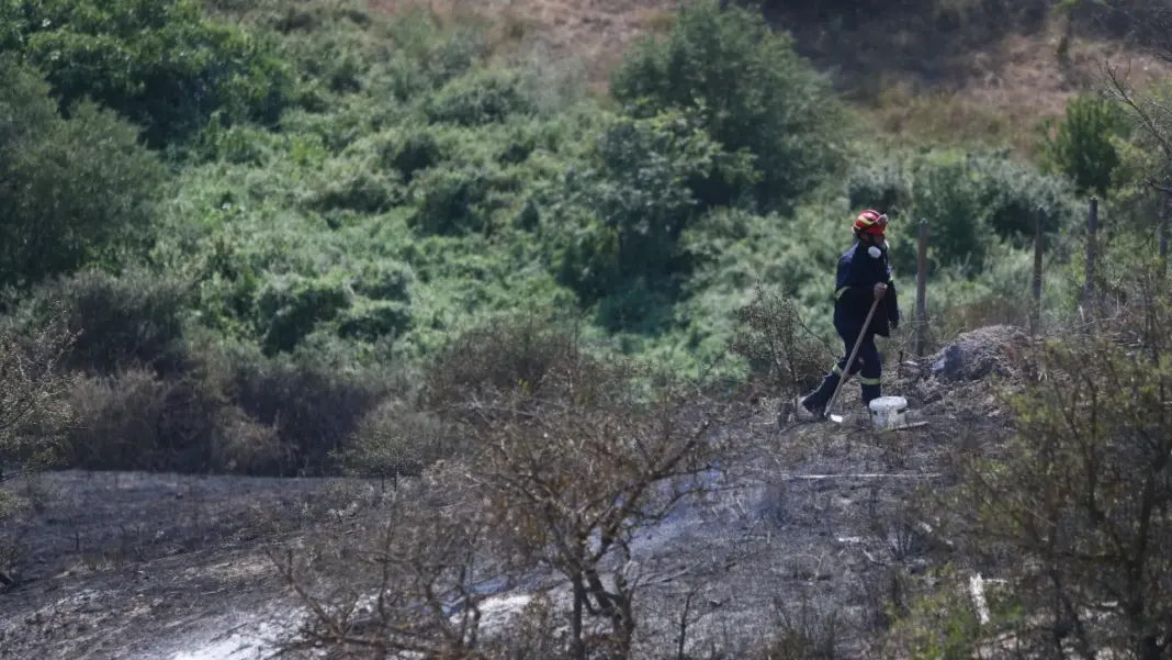Φωτιά στα Βίλια: Μάχη με διάσπαρτες εστίες δίνουν οι πυροσβέστες