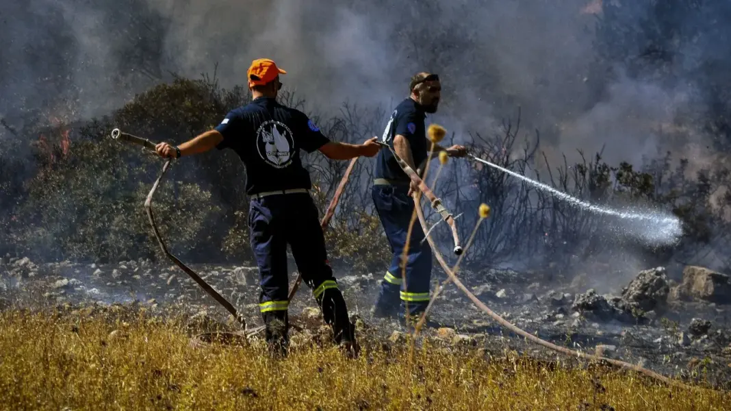 Φωτιά σε αγροτοδασική έκταση, έξω από την Πύλο, στη Μεσσηνία