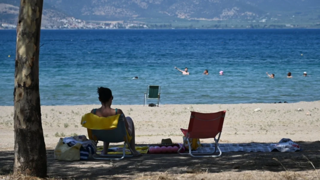 Καιρός: Επιμένουν τα 40άρια και το μελτέμι – Σε ποιες περιοχές υπάρχει πολύ υψηλός κίνδυνος πυρκαγιάς