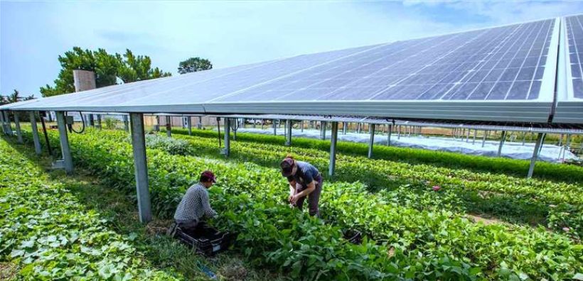 Μόλις το 2,2% της γης στην ΕΕ χρειάζεται να καλυφθεί με ΑΠΕ - Τι έδειξε έρευνα του Ευρωπαϊκού Γραφείου Περιβάλλοντος
