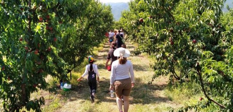 Θα ξεπεράσει τα 100 δισ. δολάρια ο αγροτουρισμός έως το 2032