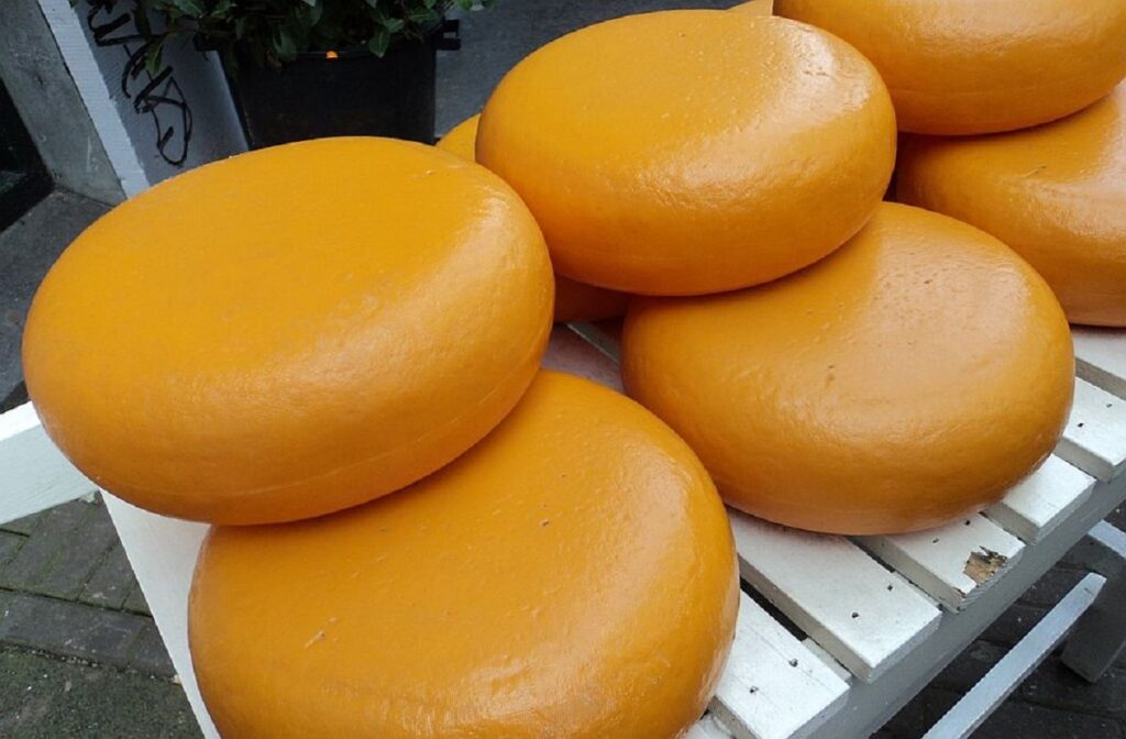 Γερμανία: Tροχονόμος απολύθηκε γιατί έκλεψε 180 κιλά τυρί από τον τόπο του ατυχήματος