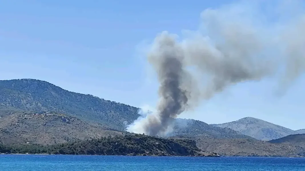 Σε εξέλιξη φωτιά σε δάσος στη Σιδηρούντα στη Χίο – Μήνυμα του «112» για το Μετόχι