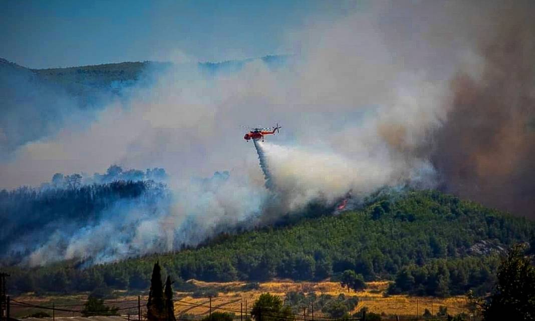 Φωτιά στην Εύβοια: Δύσκολη η κατάσταση λόγω των δυνατών ανέμων - Δημιουργούνται συνεχώς νέες εστίες