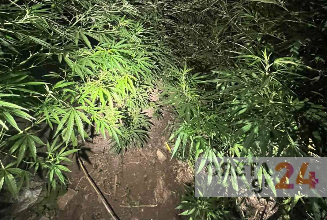 Δύο συλλήψεις από την αστυνομική επιχείρηση στα Ζωνιανά – Τι εντόπισαν οι αστυνομικοί