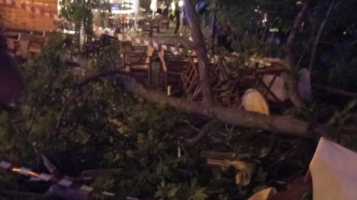 Οι τελευταίες στιγμές της 44χρονης πριν την τραγωδία – «Έπινε το ποτό της και ξαφνικά το κλαδί την πλάκωσε»