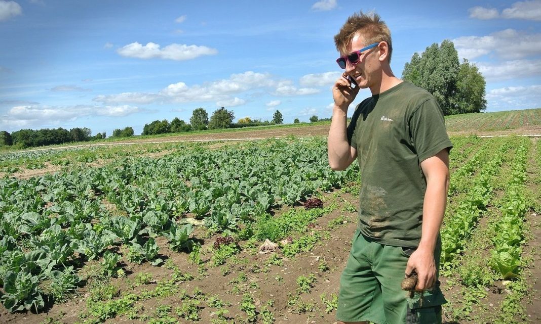 https://www.newsbomb.gr/oikonomia/story/1565694/opekepe-ston-aera-vriskontai-oi-pliromes-stis-epidotiseis-650-000-agroton
