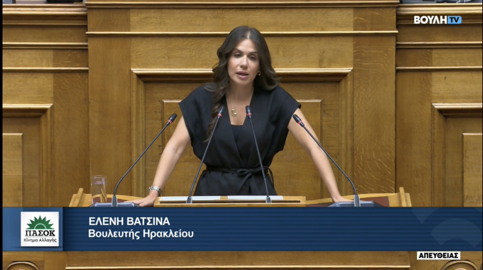 Βατσινά στη Βουλή: «Ωδή αντισυνταγματικότητας το νομοσχέδιο για την Ψυχιατρική Μεταρρύθμιση»