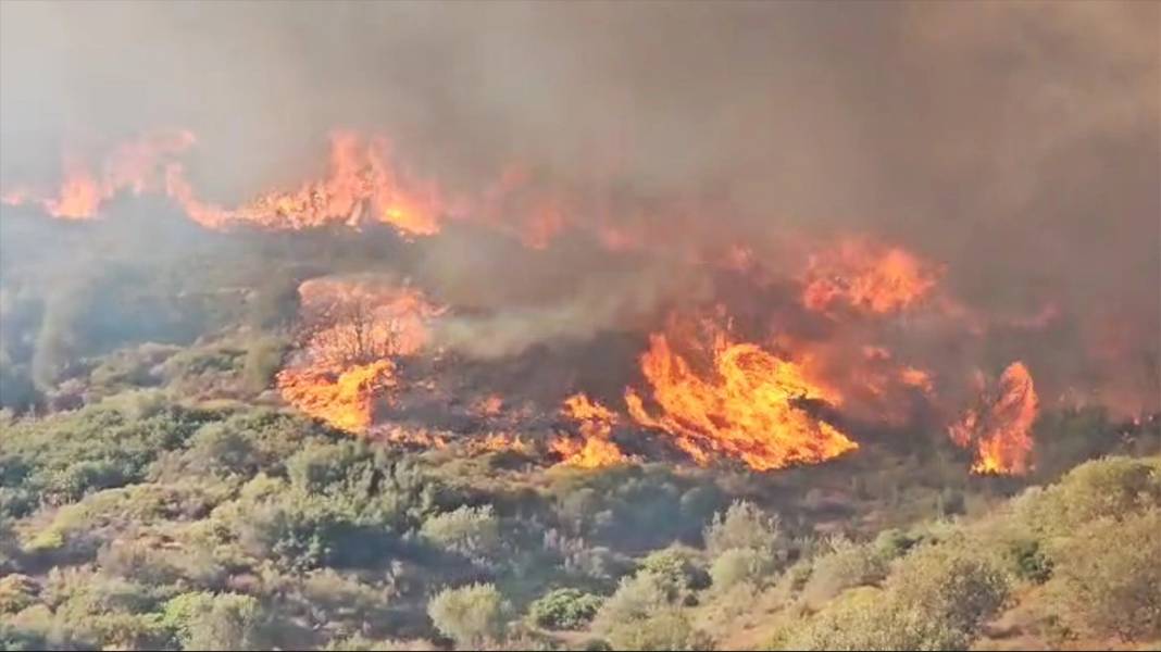 Φωτιά στην Εύβοια: Μαίνεται ανεξέλεγκτη κοντά σε σπίτια, ενισχύονται οι πυροσβεστικές δυνάμεις