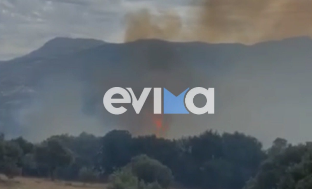 Φωτιά από κεραυνό στην Εύβοια - Σπεύδουν δυνάμεις στο χωριό Αγία Θέκλα
