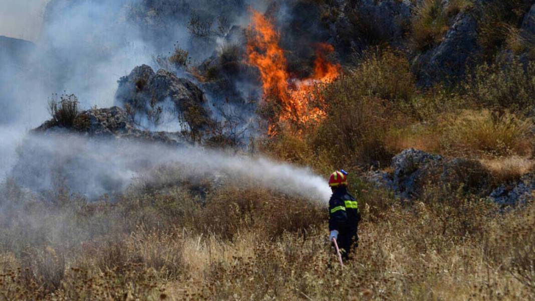 Πυροσβεστική: Στις 29 οι πυρκαγιές το τελευταίο 24ωρο στη χώρα