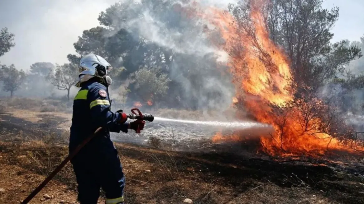 Σε 5.551 στρέμματα ανέρχονται οι καμένες εκτάσεις στην Αττική από τις πυρκαγιές του περασμένου Σαββατοκύριακου