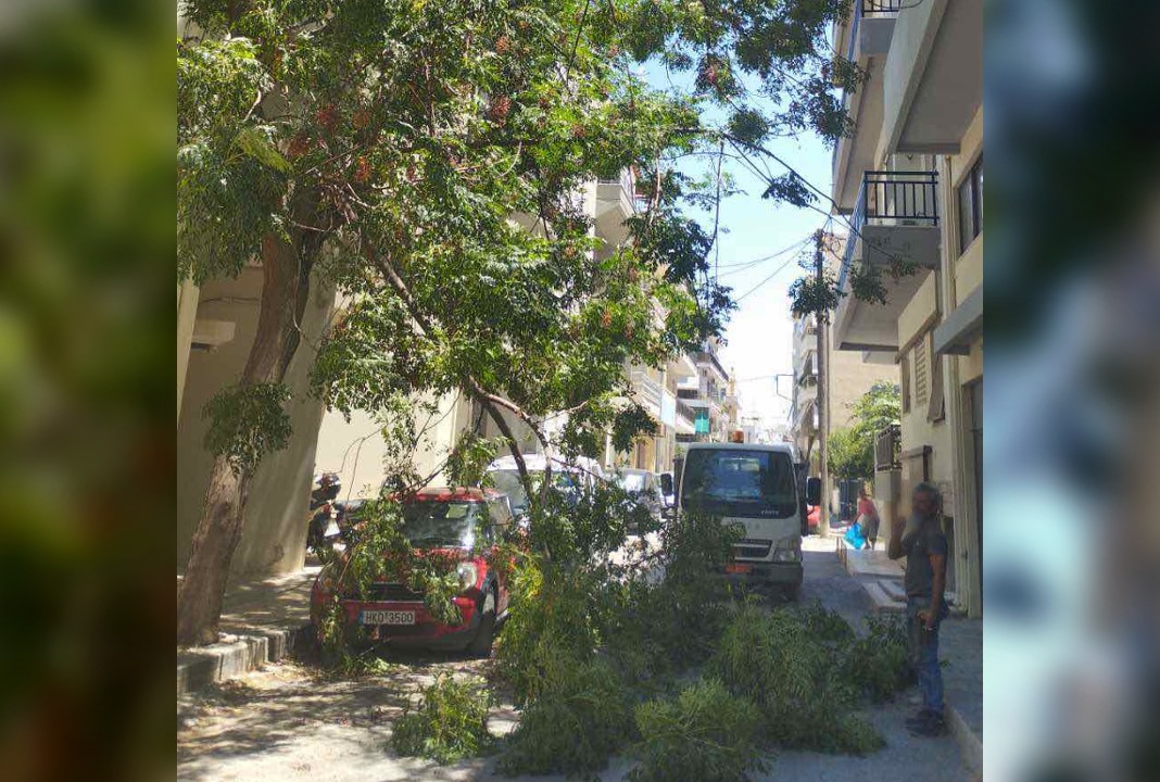 Νέα πτώση κλαδιών σε δρόμο στο Ηράκλειο