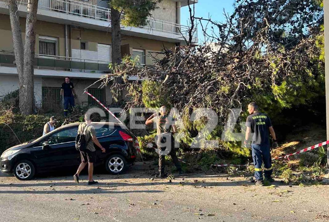 Ηράκλειο: Δέντρο έπεσε πάνω σε αυτοκίνητο