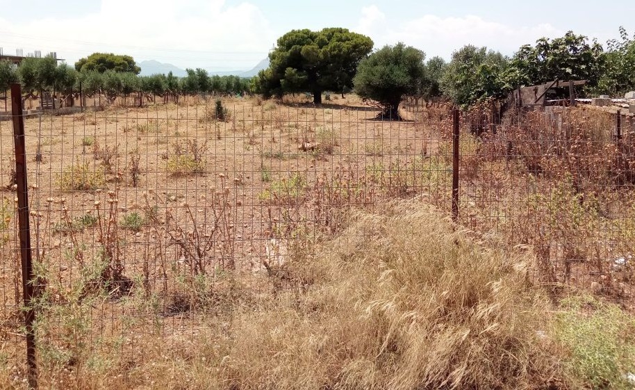 Δήμος Βιάννου: Παράταση προθεσμίας υποβολής δηλώσεων καθαρισμού οικοπέδων εντός οικισμών