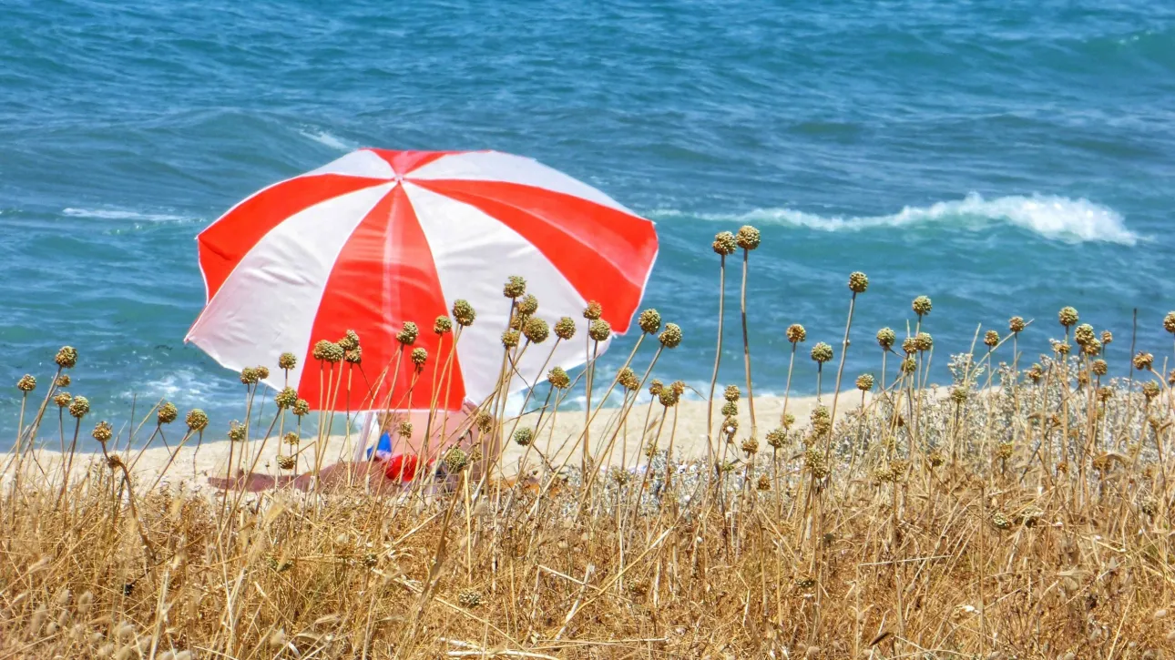 Καιρός: Υψηλές θερμοκρασίες και ισχυροί βοριάδες έως 7 μποφόρ