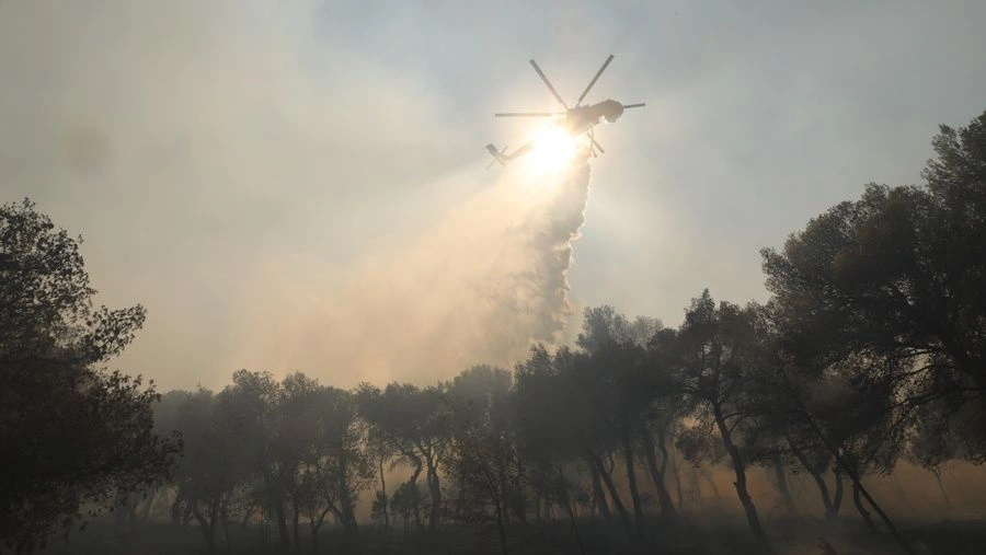 Το πράσινο της Αθήνας στις φλόγες: Πώς αλλάζει την ποιότητα ζωής των κατοίκων η απώλεια των δασών